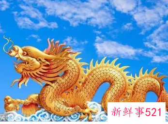 女属龙与什么属相最佳