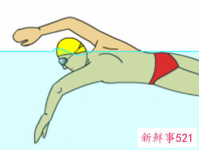 游泳分为几个步骤