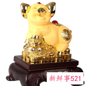 客厅金猪摆放头朝