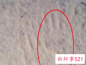 头七回魂夜是否真实