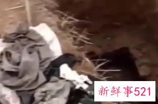 梦见自己和亲人在河里埋死人