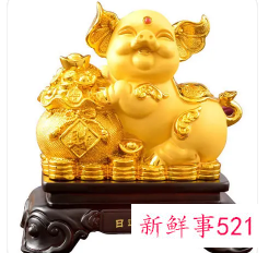 属猪的房间放什么摆件好