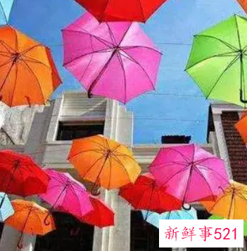 哪里可以借雨伞