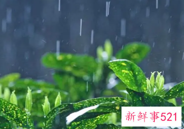 梦见下大雨寓意