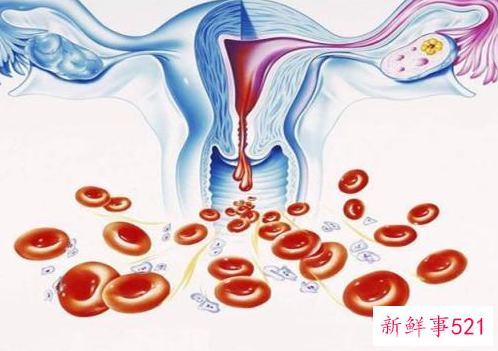 人流后多久来月经