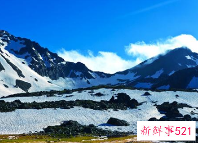 做事果断的星座女