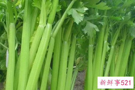 芹菜怎么处理比较脆