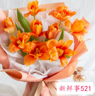 郁金香可以送男朋友吗