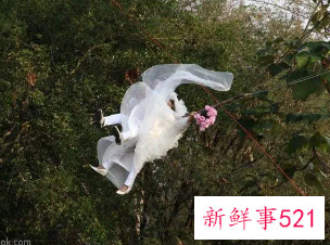 梦见场面惊险的梦