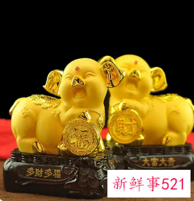 客厅金猪摆放头朝