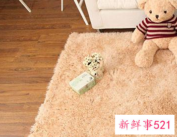 客厅地毯如何清洁