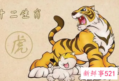 最宠属虎女的生肖男