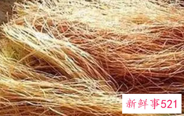 干玉米须的功效与作用