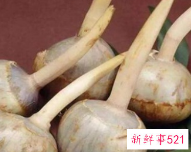 属于蔬菜类的有什么蔬菜