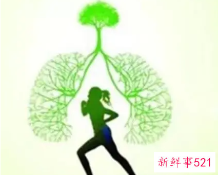 调节呼吸系统及运动器官的体育运动