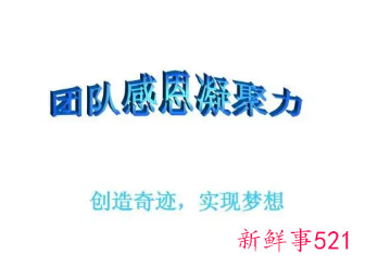 刚加入新团队感谢语