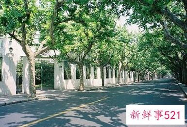 告白男朋友的朴素情话