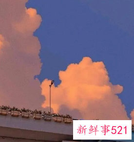 只钟情于一个人的网名