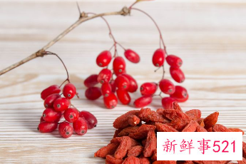 枸杞叶是凉性的吗