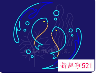 双鱼座适合什么花