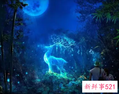 孕妇梦见小花猪是什么意思