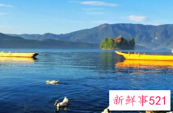 梦到看风景拍很多漂亮的照片