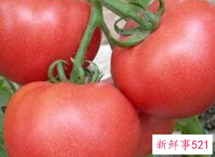 属于蔬菜类的有什么蔬菜