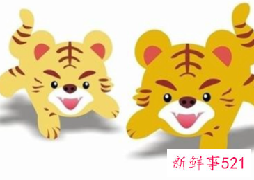 最宠属虎女的生肖男