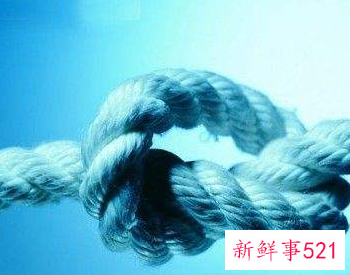 员工怎样提高团队凝聚力