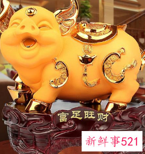 客厅金猪摆放头朝