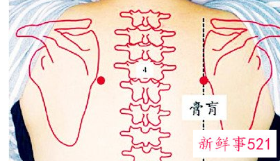 后背经络图解
