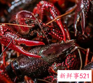 小龙虾怎么长时间保存