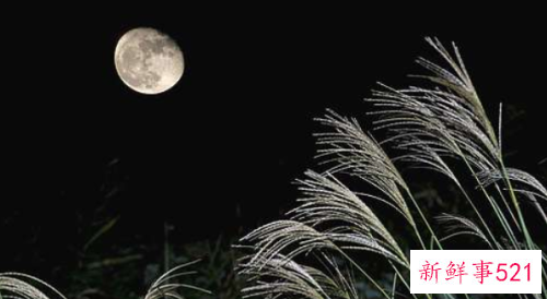 鬼为什么有在阳间害人