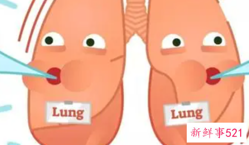 调节呼吸系统及运动器官的体育运动