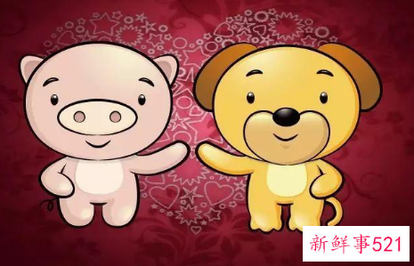 属狗男和属猪女