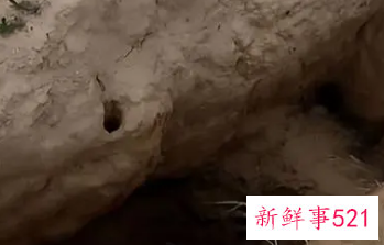 梦见自己和亲人在河里埋死人