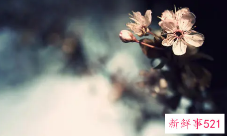 简历个人优势怎么写才能让HR眼前一亮