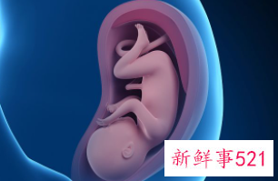 正确的孕周计算方法 末次月经