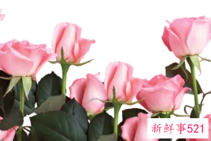 送母亲鲜花送什么花