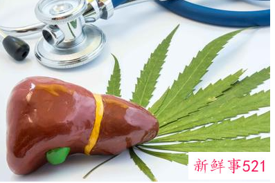 胆囊息肉应该注意什么饮食