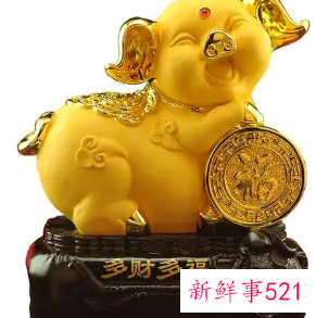 客厅金猪摆放头朝