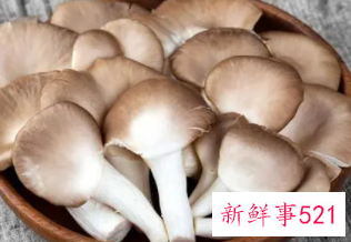 秀珍菇的做法有什么