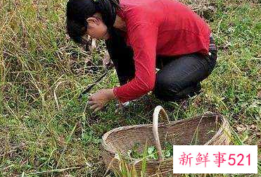 长相一看就是农村女孩