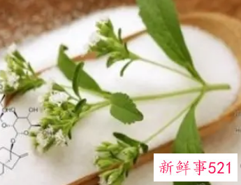 甜菊糖苷对人的危害