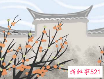 小鸟飞到窗前什么预兆