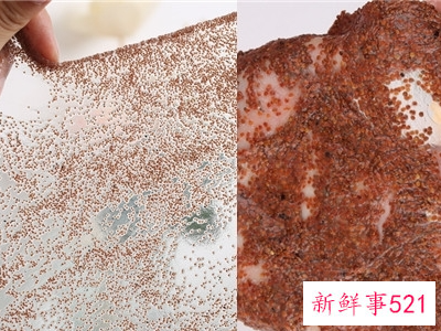 怎么辨别海藻面膜的好坏