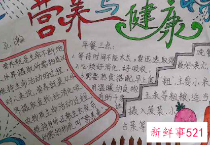 小学生健康知识手抄报