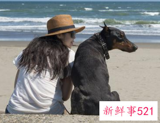 狗狗更喜欢异性主人吗