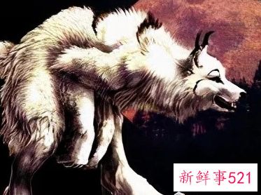 狈是什么样子的动物