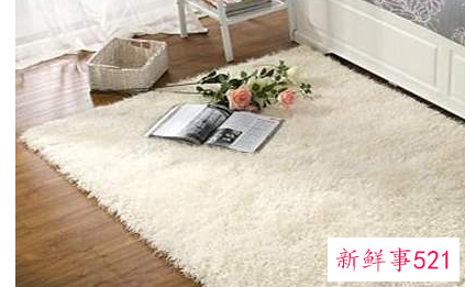 客厅地毯如何清洁